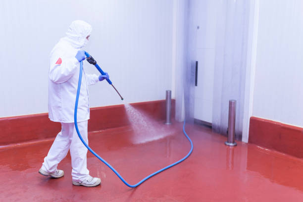 Clark Mills, NY Pressure Washing Services Company